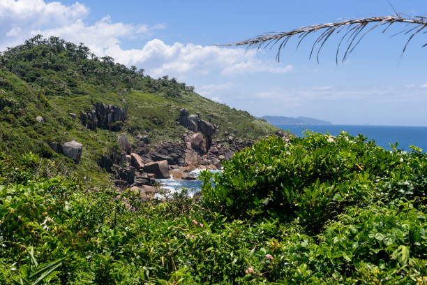 istock Campeche Island - Santa Catarina 1364275012