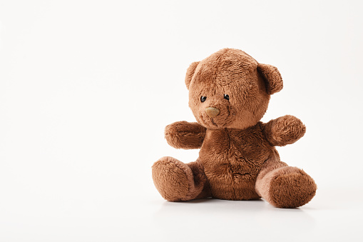 Teddy bear on the white background with copy space
