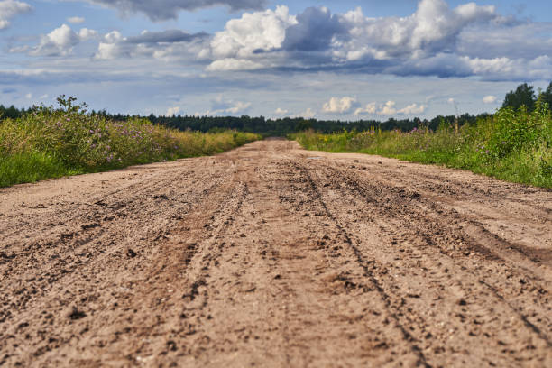 istock Old wide sandy road with a rolled track after the rain 1364275237