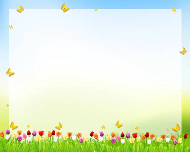 Vector illustration of Spring Tulip Background