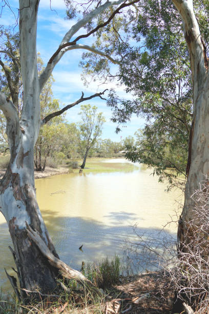 istock Kerang, Victoria, Australia 1364276089