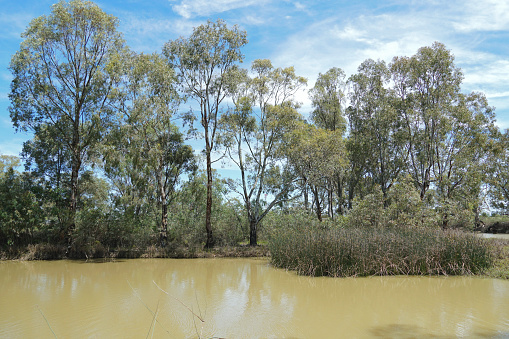 Loddon River meandering through the Mallee Country