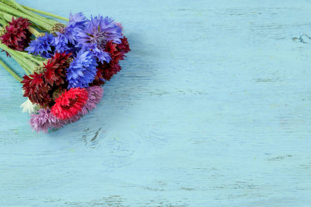 bouquet of cornflower in a wooden background stock photo