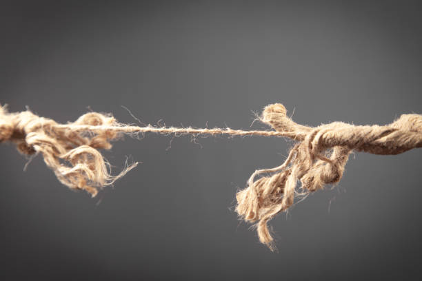 istock Frayed rope about to break on grey background. Risk 1364279244