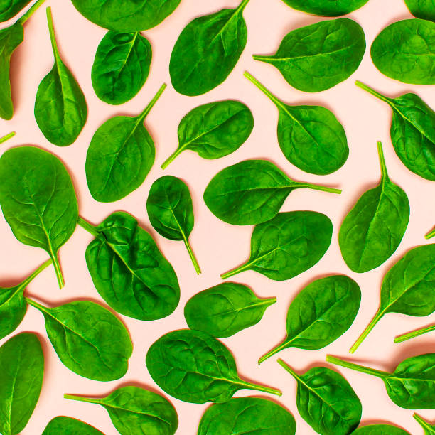 istock Fresh green spinach leaves pattern on pink background Flat lay top view. Creative food concept. Ingredient for salad. Vegetable pattern design. Healthy lifestyle. 1364279564