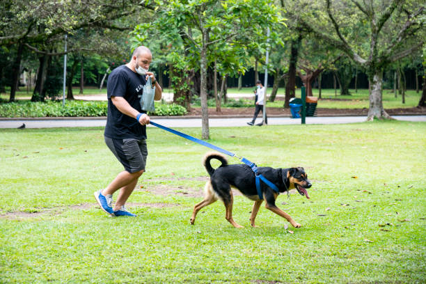 ibirapuera park - 12018 zdjęcia i obrazy z banku zdjęć