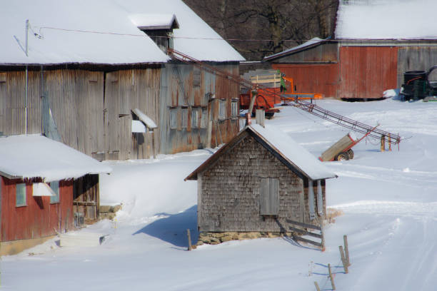 istock Countryside landscape with farm in Quebec, Canada 1364281902