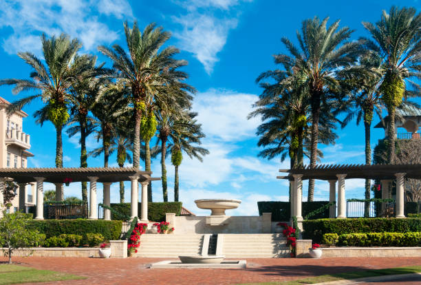 istock Palms Above the Portico 1364285508