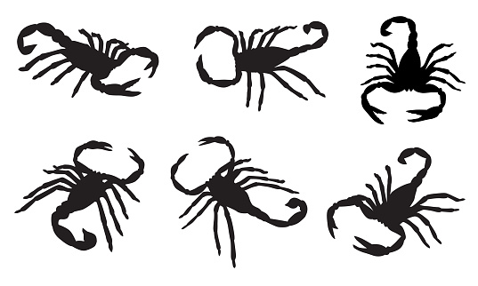 Vector illustration of six scorpion silhouettes on a white background.