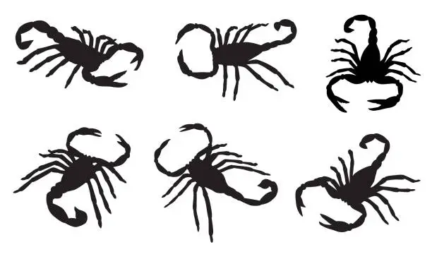 Vector illustration of Six Scorpion Silhouettes