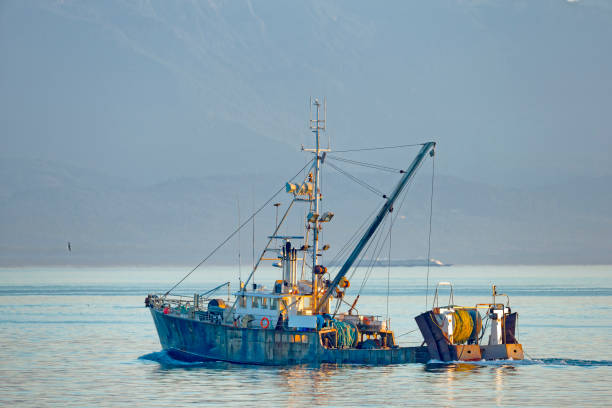 Gulf of La Spezia, Liguria, Italy - July 29th, 2011: one senior fisherman on a small blue and white boat with fishing net between the waves of the Mediterranean sea. Liguria, Italy, Europe