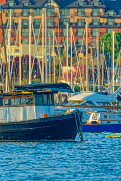 Harbor with many sailing ships under a clear sky over water. Wide angle shot. Summer. XXXL (Sony Alpha 7R)