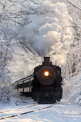 Steam train passing through snow covered trees