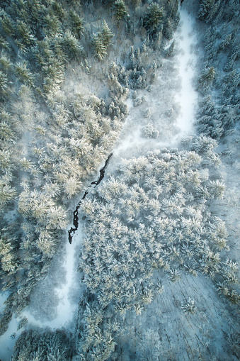 Winter landscape with snow on the trees and a creek winding through the forest. Looking down from the sky.