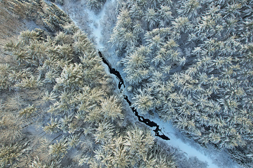 Winter landscape with snow on the trees and a creek winding through the forest. Looking down from the sky.