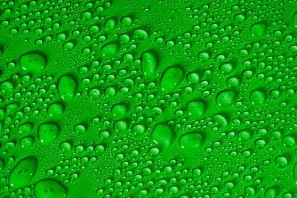 istock Water drops on green background. Transparent water droplets from spray 1364318410