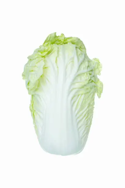 chinese cabbage vegetable isolate white background clipping path