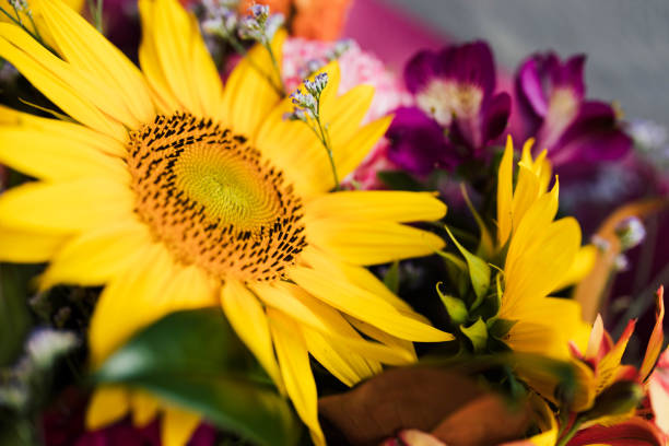 istock Up Close Sunflower in Bouquet arrangement 1364321959