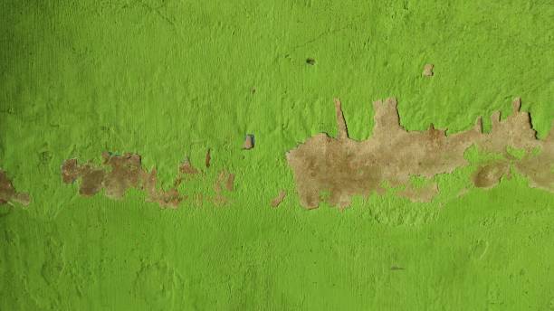 istock Green wall background - stock photo 1364323710