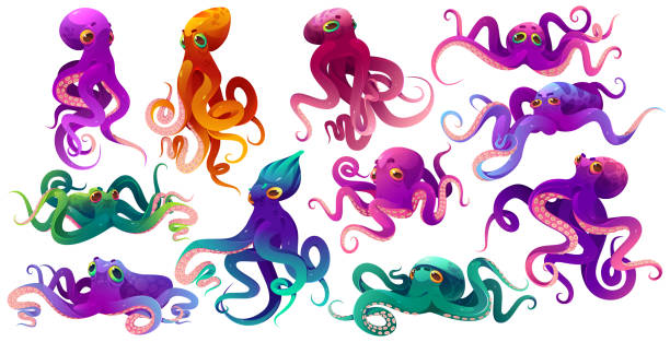 Cute color octopuses, sea animals with tentacles Cute color octopuses, sea animals with tentacles. Vector cartoon set of ocean invertebrates, marine animals, squid or kraken with suckers on hands. Funny octopuses isolated on white background octopus stock illustrations