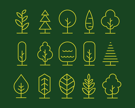 the tree illustration in a simple monoline vector style. minimal drawing in creating a simple element for any design.
