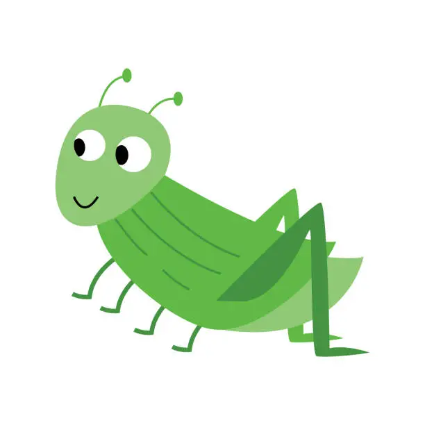 Vector illustration of cute grasshopper illustration.