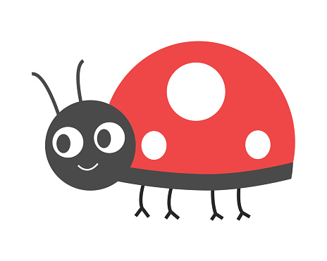 cute ladybird illustration.