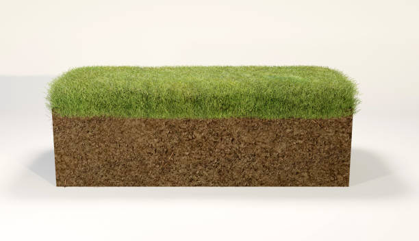 istock abstract background of mockup terrain floor with dirt and grass, 3D illustration rendering 1364338713