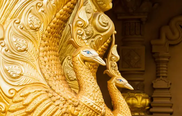 Golden peacocks statues, decoration of the Mahamevnawa Amawatura Monastery. Buddhist Monastery located in Malabe district of Colombo, Sri Lanka