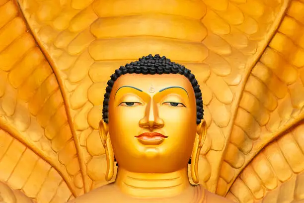 Close up face portrait of golden Buddha statue at Mahamevnawa Amawatura Monastery. Buddhist Monastery located in Malabe district of Colombo, Sri Lanka