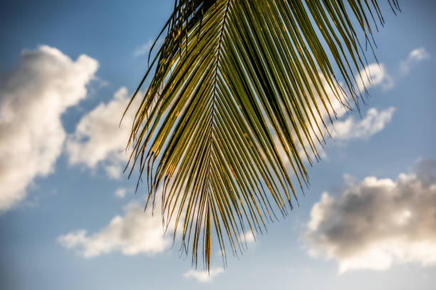 Beautiful nature.