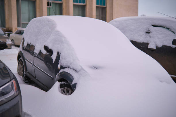 istock Parked cars completely covered with snow after snowfall 1364343347