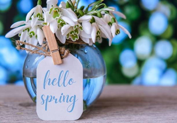 istock Greeting card text HELLO SPRING lettering with snowdrop flowers. Early spring flowers. Springtime. Fresh bouquet 1364345031