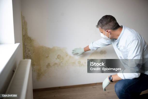 Man With Mouth Nose Mask And Blue Shirt In Front Of Wall With Mold Stock Photo - Download Image Now