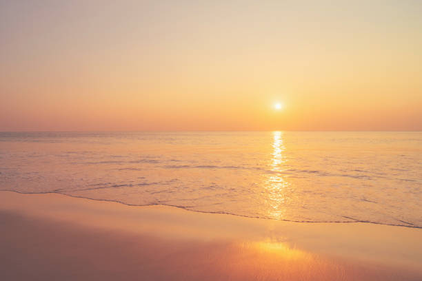 istock Tropical beach with smooth wave and sunset sky abstract background. 1364351123