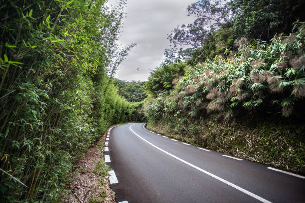 istock Nature, scenic roads, oceans, cliffs, lighthouse and surfer 1364352233