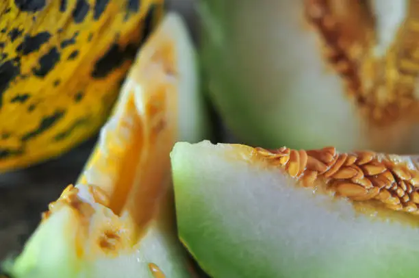 Fresh sweet melon on the wooden table