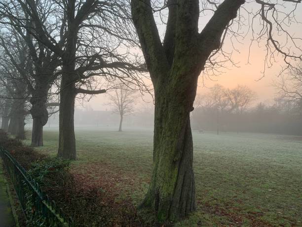 istock Misty morning in London park 1364352651