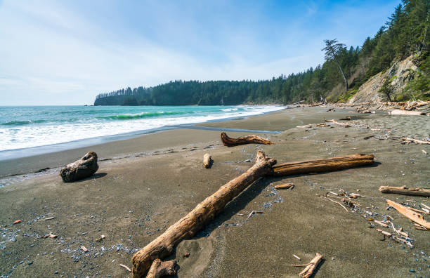 istock Second beach at mt. Olympic national park,Washington,usa. 1364354199