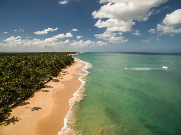istock Puerto Rico Beach 1364358960