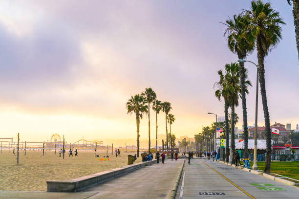 venedig, kalifornien, usa. 23.05.17: skatepark am strand von venedig an einem sonnigen tag. - venice beach stock-fotos und bilder