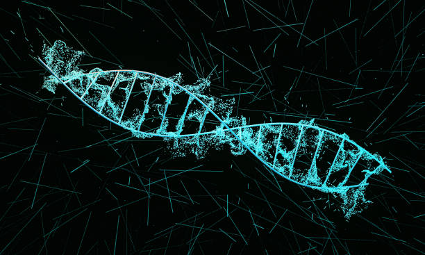 filamento di dna simbolico astratto o struttura molecolare del dna. scienza medica, biotecnologia per sviluppare trattamenti o farmaci per il cancro, covid 19 o diabete. - dna genetic research medicine therapy foto e immagini stock