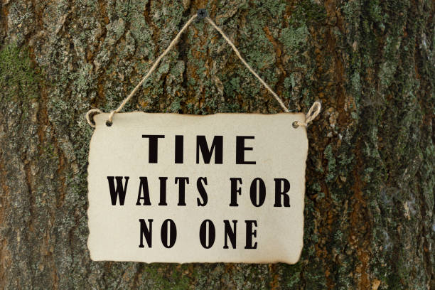 istock Inspirational and motivational quote on old tree trunk background 1364361434