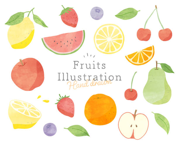 набор нарисованных от руки фруктовых иллюстраций. - apple cartoon illustration and painting cute stock illustrations