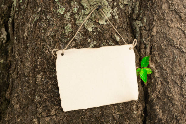 istock Paper hanging on tree trunk background. Copy space. Nature background 1364363404