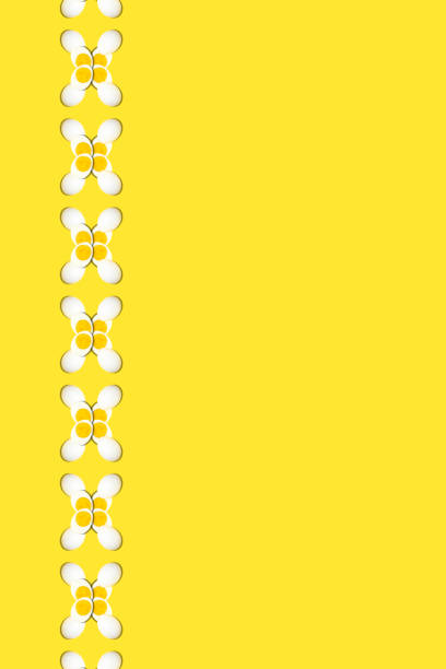Creative photos of a boiled chicken egg on a yellow background