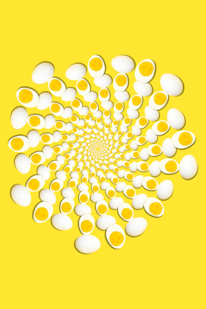 Creative photos of a boiled chicken egg on a yellow background
