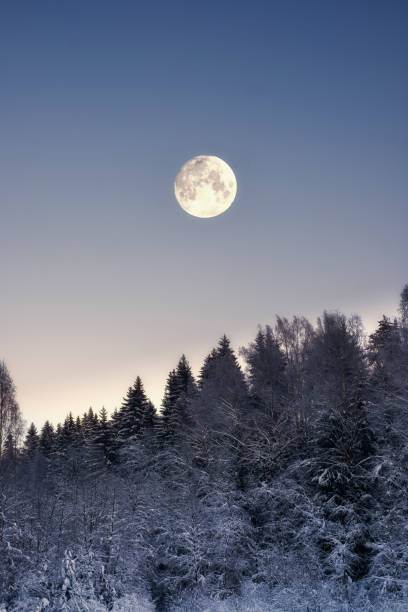 istock full moon, over snowy winter forest at night 1364364072