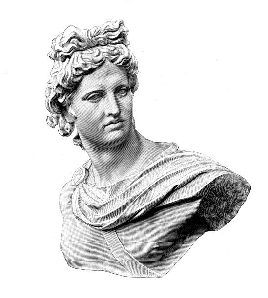 Bust and marble head of the Apollo Belvedere celebrated sculpture from Classical Antiquity, Vatican Museums Bust and marble head of the Apollo Belvedere celebrated sculpture from Classical Antiquity, Vatican Museums greece illustrations stock illustrations