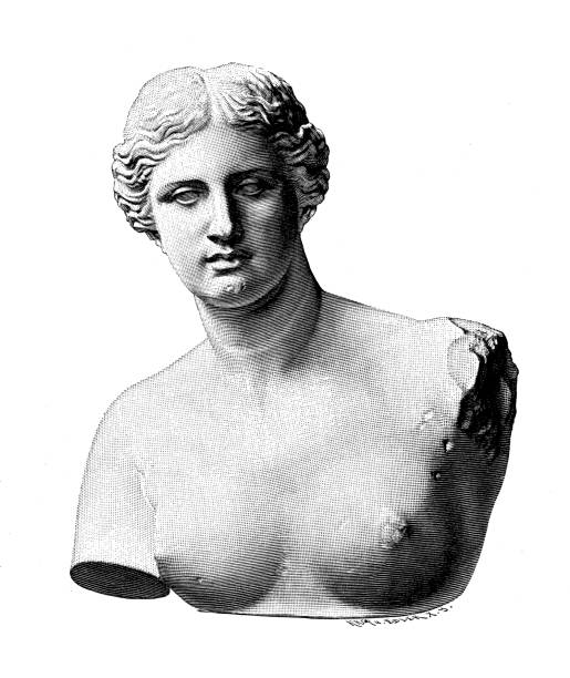 Bust and marble head of the Venus de Milo ancient Greek sculpture from the Hellenistic period of the Greek goddess, Louvre Museum in Paris